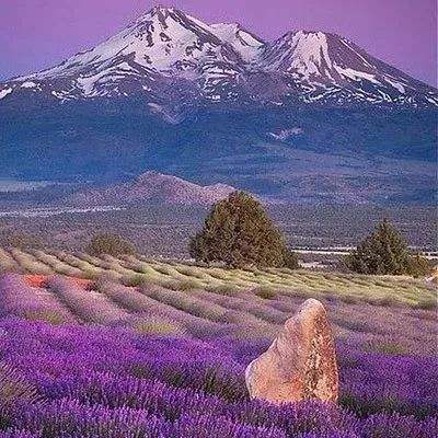 澳门·新甫京娱乐娱城